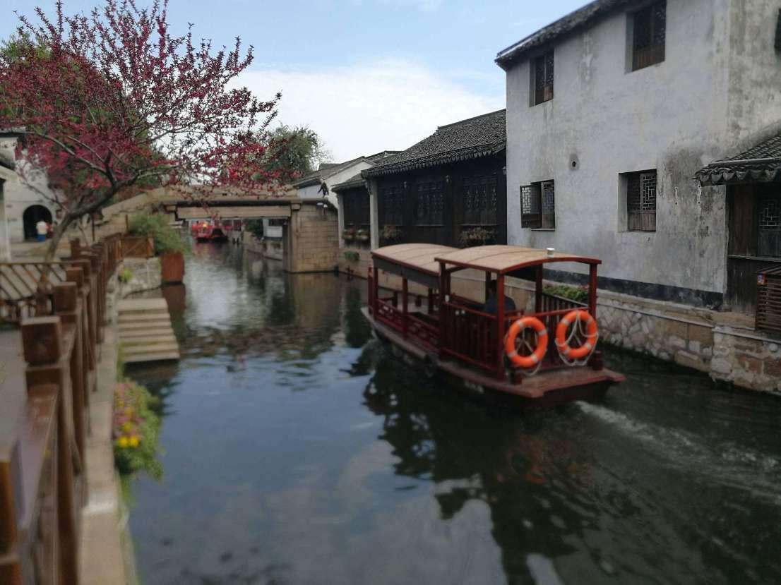 森系丛林
